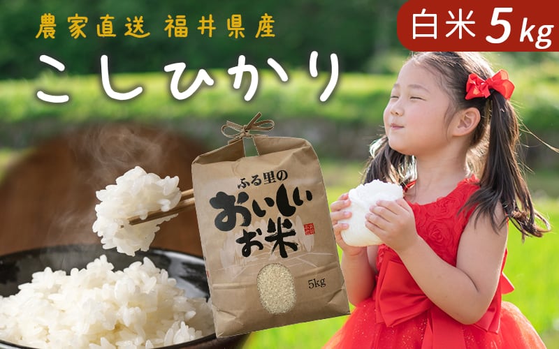 お米 コシヒカリ 30kg 捻り お米 コシヒカリ 30kg 捻り