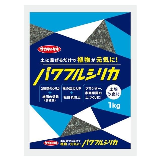 コミフォラ カタフ 種子 10粒 Commiphora Kataf | Pay ID