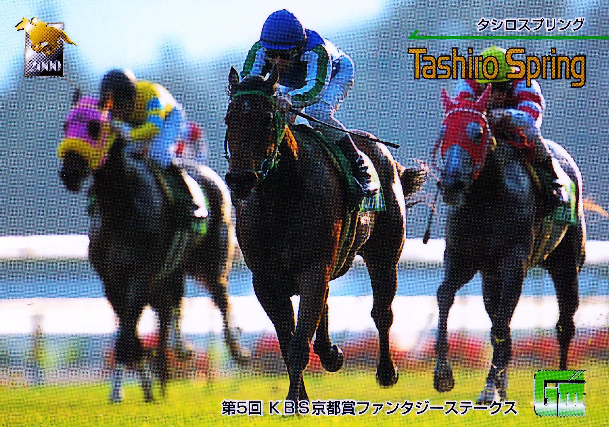 アグネスフライト：第67回 東京優駿(日本ダービー)出走馬