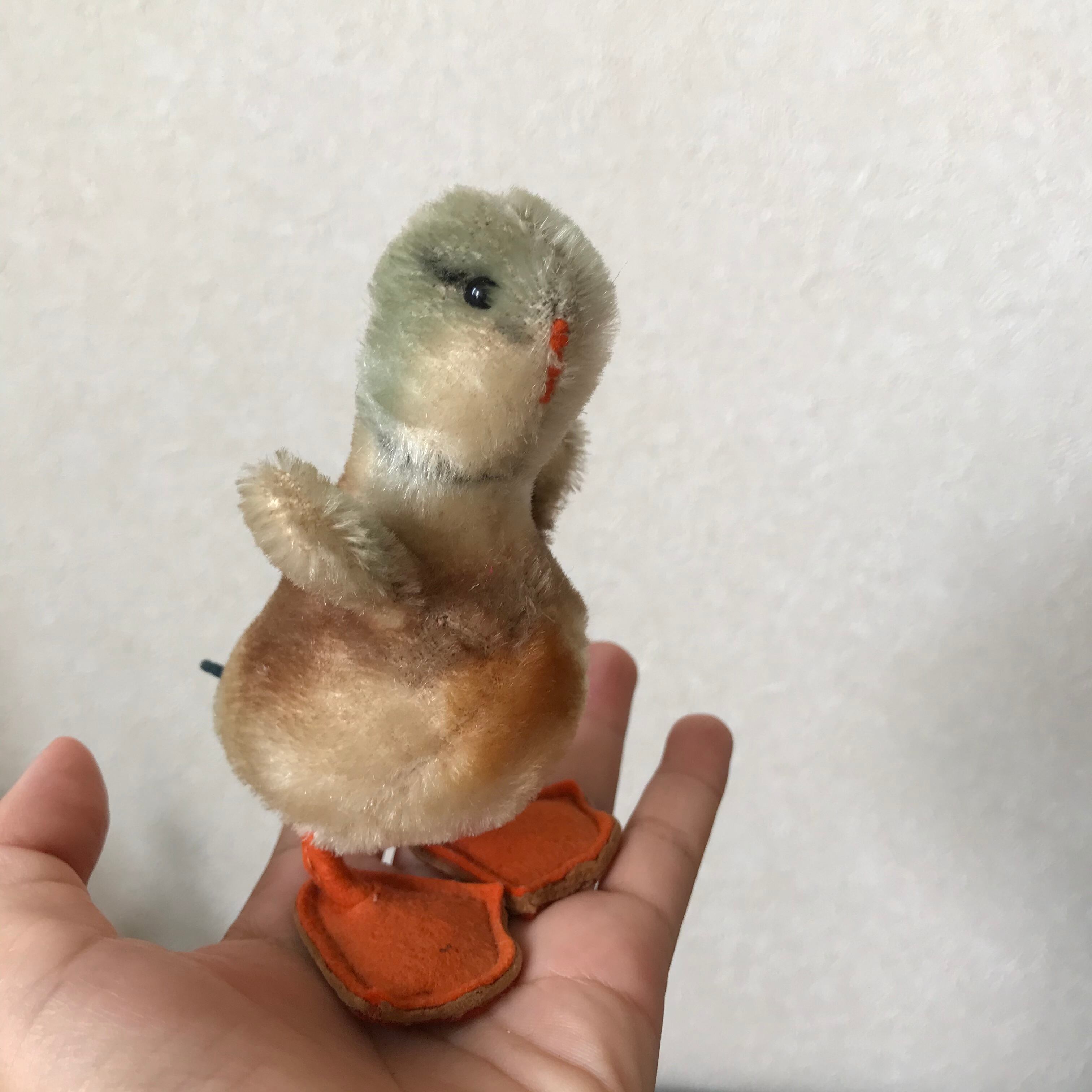 バンザイしたアヒルの子