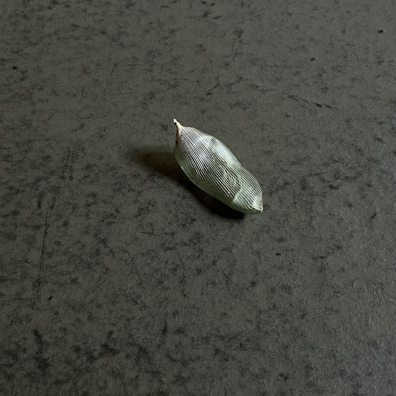 硅砂組 - 散華