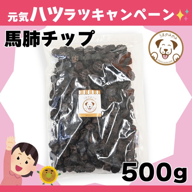 【月間お買い得】馬肺チップ 小さめ2cmサイズ500g(賞味期限27.3.30)