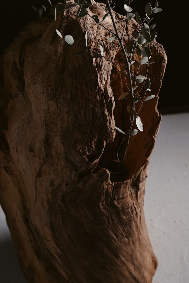 楠-kusunoki- Standing Form