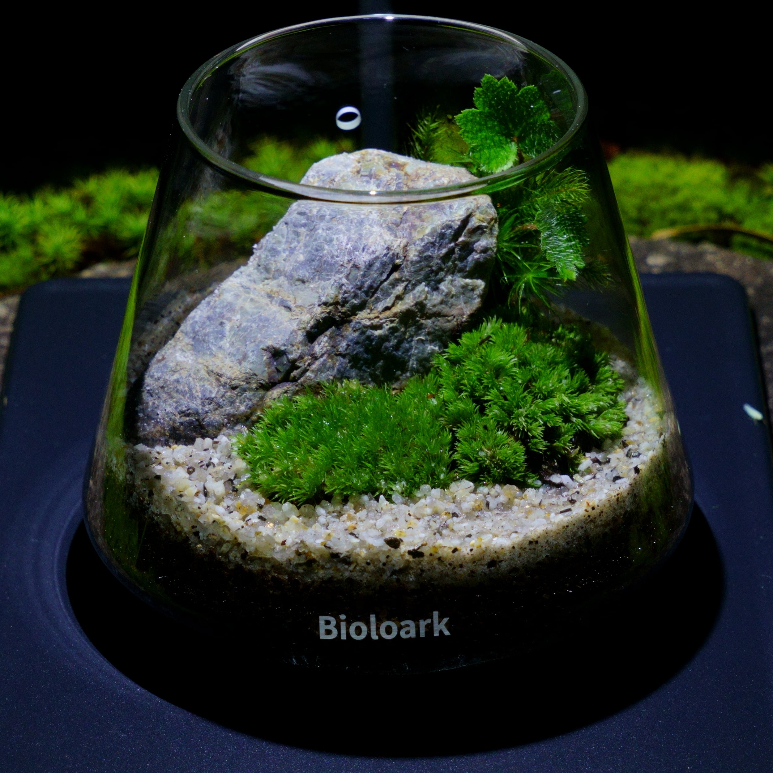 マーケティング Bioloark 植物育成用ライト DX-03