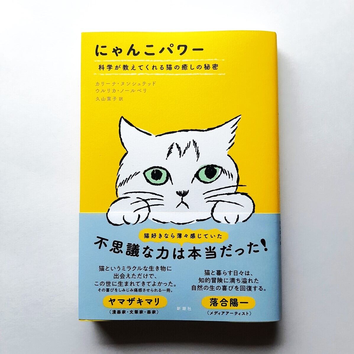 実用 | ねこのみち 実用 | ねこのみち