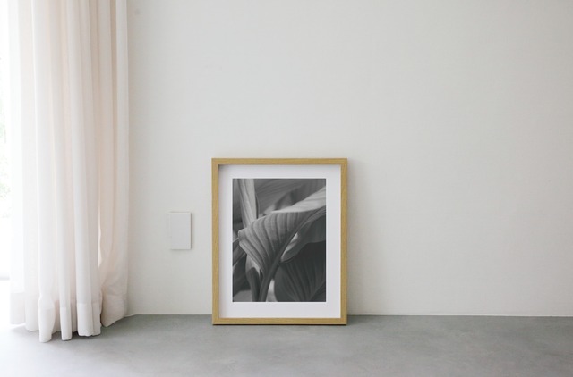 Leaf wooden frame 52cm×42cm付き ( M )