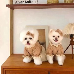 【PET】レースフリルデザインのニット