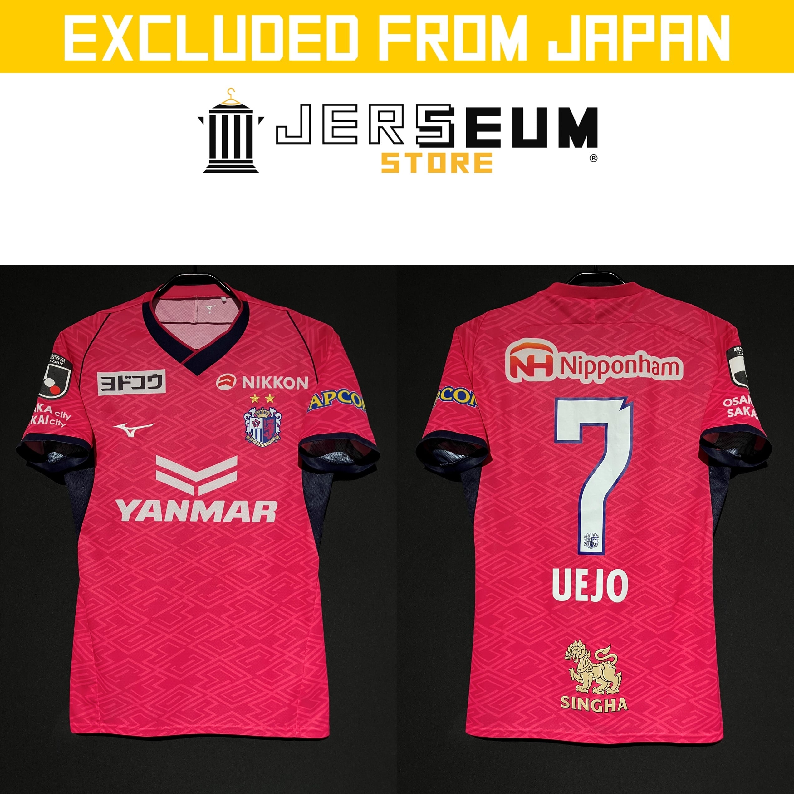 Japan：日本国内リーグ | JERSEUM STORE