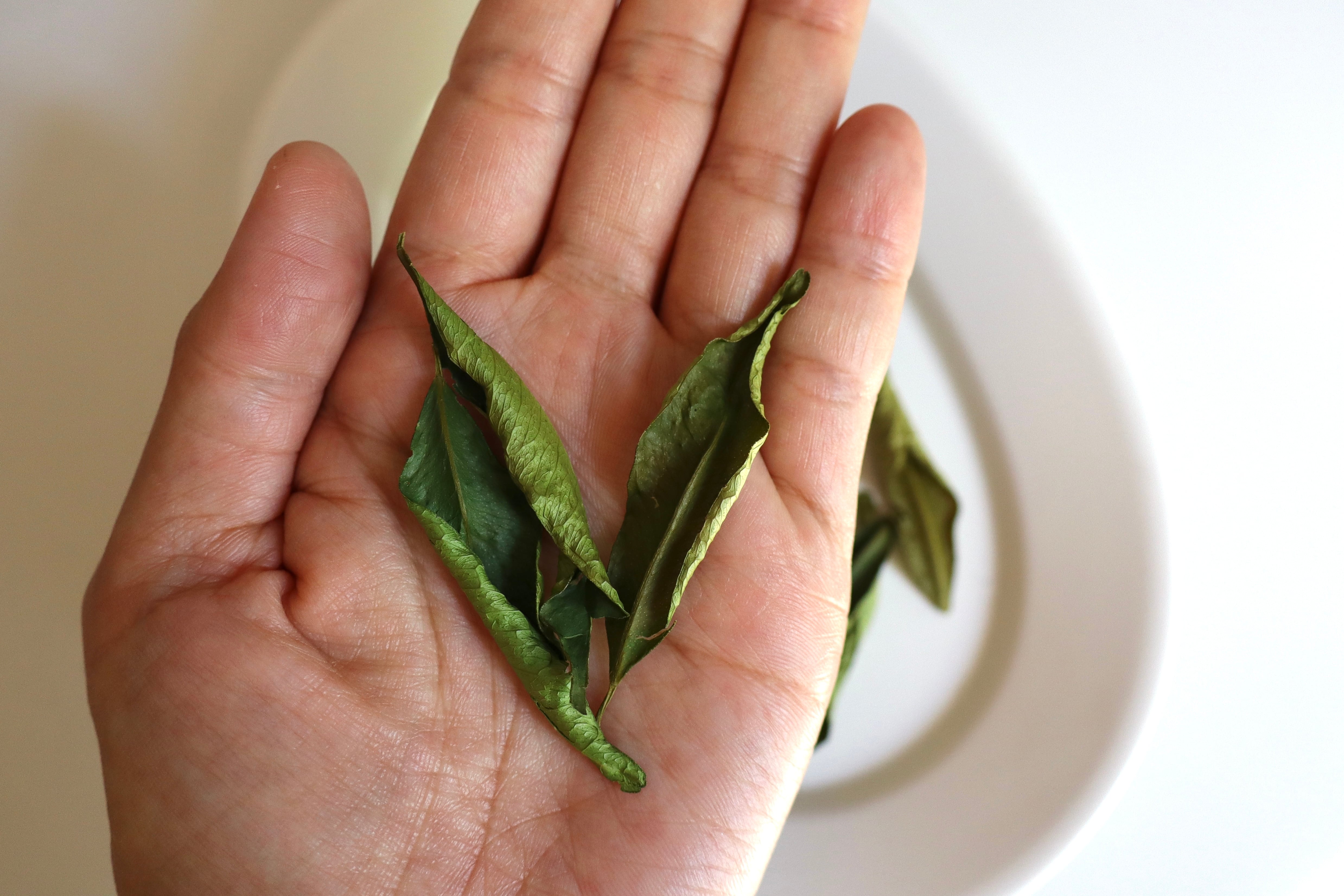 ドライ『大和橘の葉』無添加 素のまま乾燥 | なら橘プロジェクト推進協議会