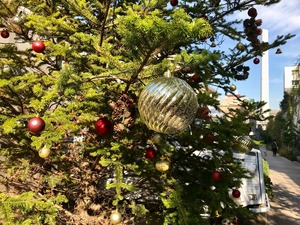 ログロードのクリスマスツリー
