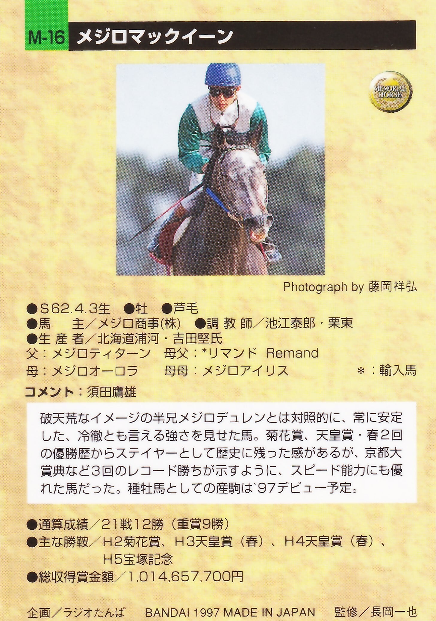 競馬カード THE CLASSIC fantasy メジロマックイーン メジロマックイーン「サラブレッドカード 96年下半期版」M-16 | Pay ID
