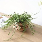 花瓶 木製 水耕栽培 低植物 フラワースタンド ドライフラワー デスク リビング カフェ装飾 おしゃれ 北欧