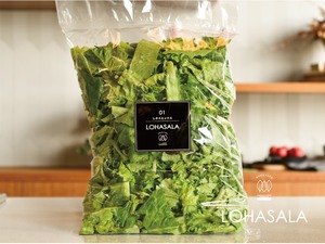 徳用 LOHASALA　レタスミックス　500gパック×2個　無洗LED栽培野菜