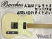【Bacchus】BTE-2-RSM/R〈各色随時入荷！お問い合わせください〉