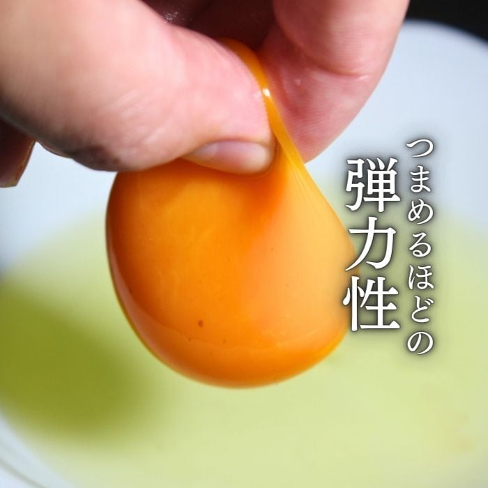 数量限定販売 【6個】最高級の卵「紀の夢たまご 極み」（特大サイズ