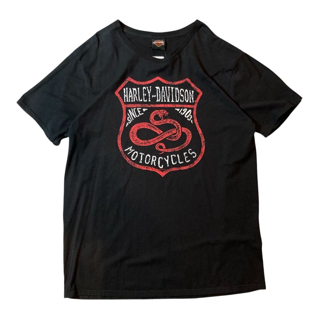 B60】90s Southern All Stars Deadstock T-shirt/1990年代 サザン