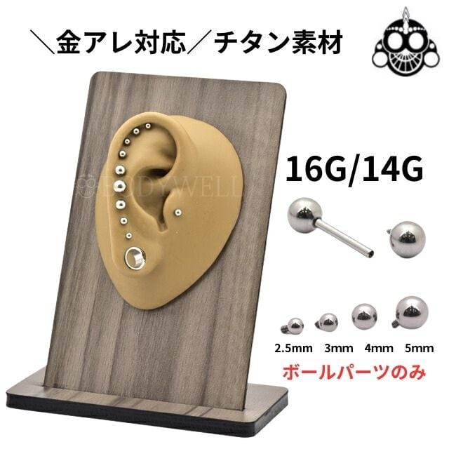 16G ANATOMETAL 限定商品 Limited Item フラワーエンド ブリリアント