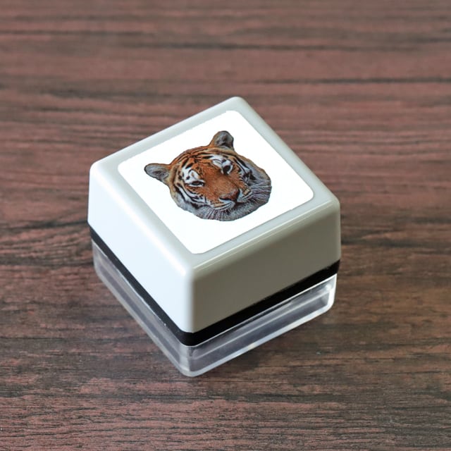 リアルふぉとスタンプ アザラシ RP-062 | 浸透印スタンプ Yamahachi Stamp