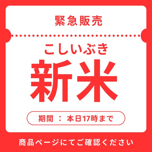 新米 新潟こしいぶき 10kg （10キロ）新潟米 精白米 農家のお米 2023年 新潟県阿賀野産