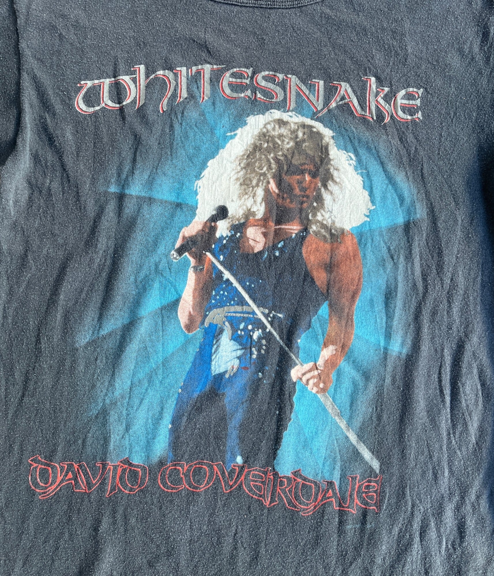 Vintage 80s Rock band T-shirt -Whitesnake- | BEGGARS BANQUET公式 