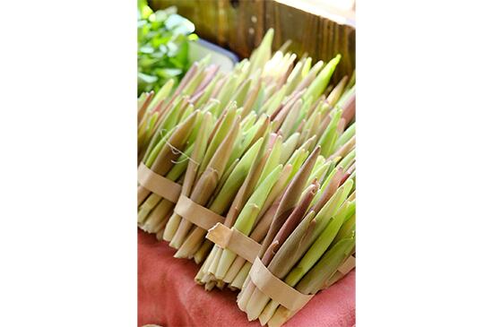 【山菜人気NO1】天然あまどころ・100g(4/3発送開始)