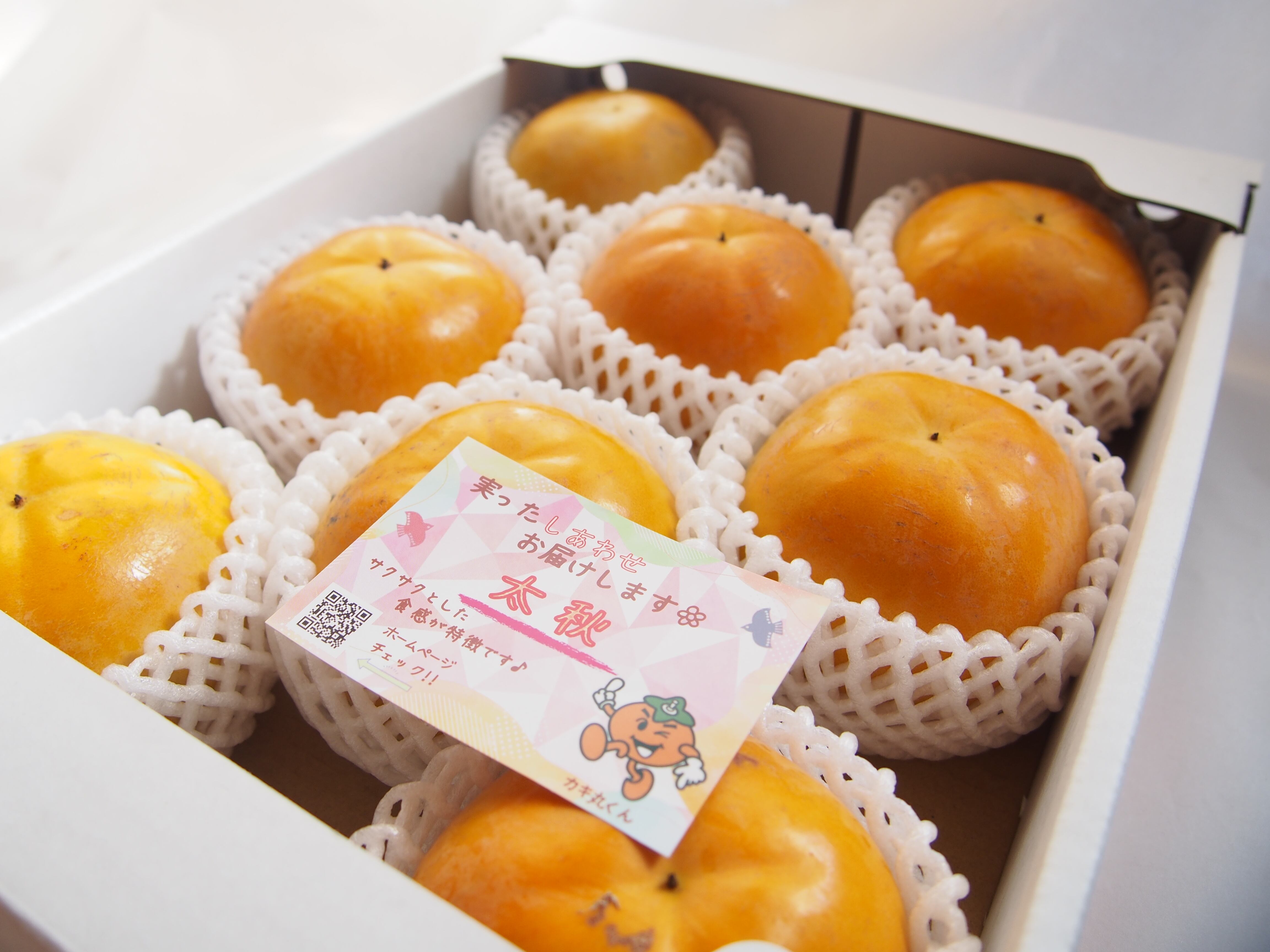 太秋柿】3キロ箱 8個入 | 清水果樹園 ONLINE SHOP