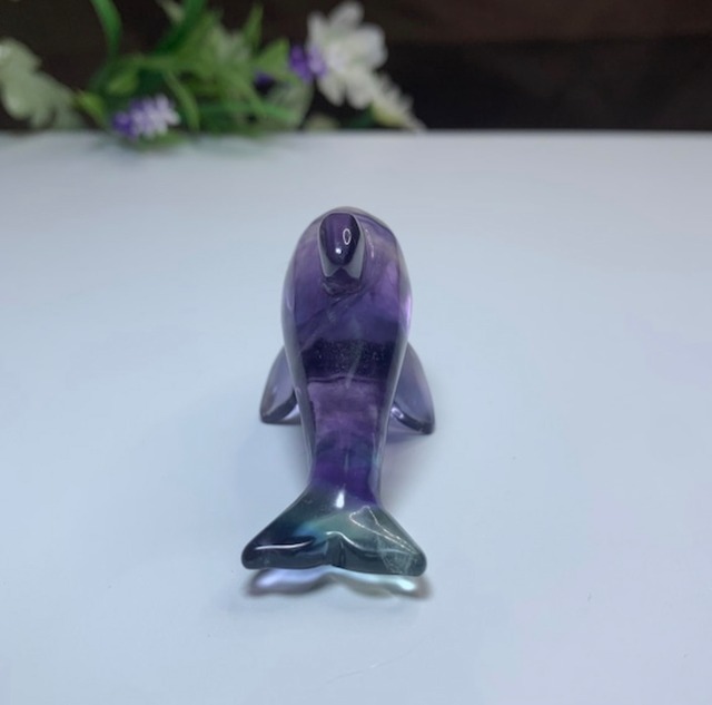 海のアニマル♪♪フローライトイルカのお家セット