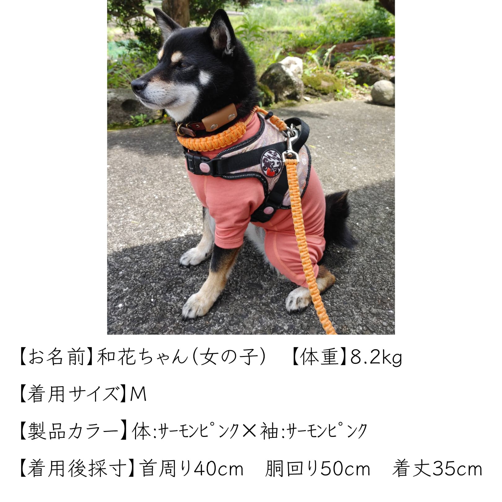 『Eveさん着用』gray Dog face printed 柴犬 Eveさん着用』gray Dog face printed 柴犬