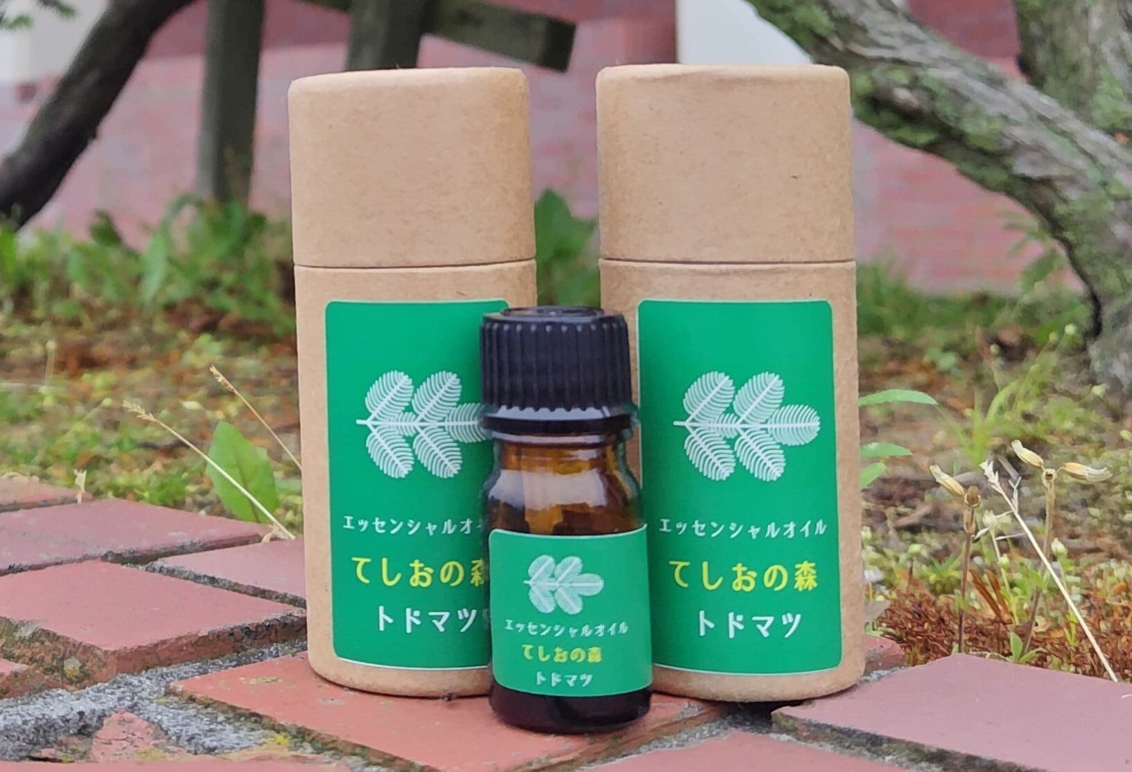 トドマツ・エッセンシャルオイル | 天塩鍼灸指圧院 乾坤庵
