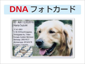 DNAフォトカード