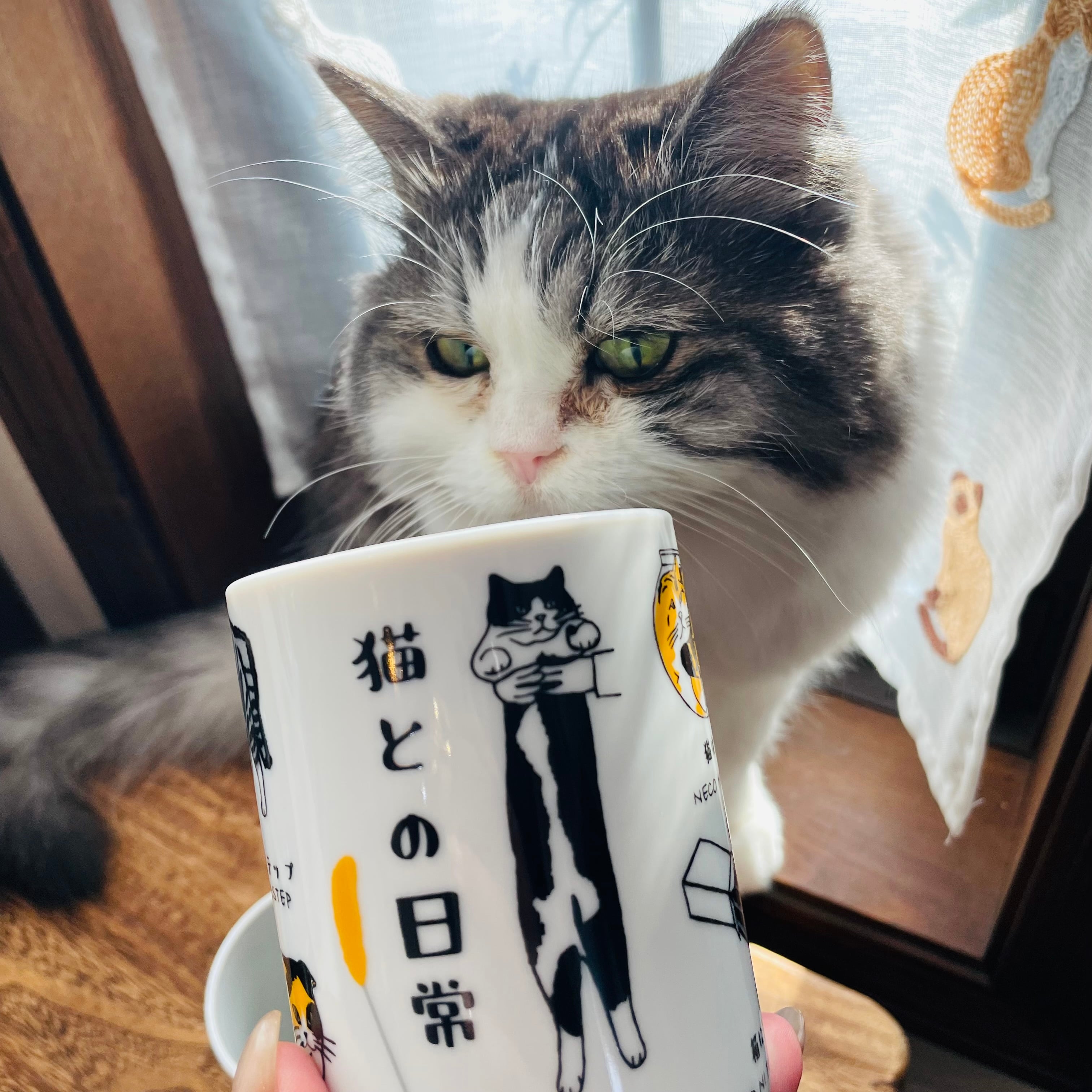 ゆのみ| 猫 ねこ ネコ 猫雑貨 猫グッズ かわいい プレゼント 贈り物 おうち時間 おうちカフェ