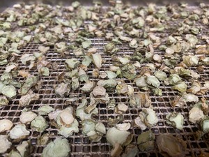 本わさび粉１０g入り（岩手県岩泉町産本わさび100%使用）