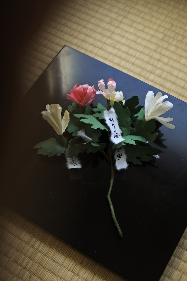 接分菊(つぎわけ菊)