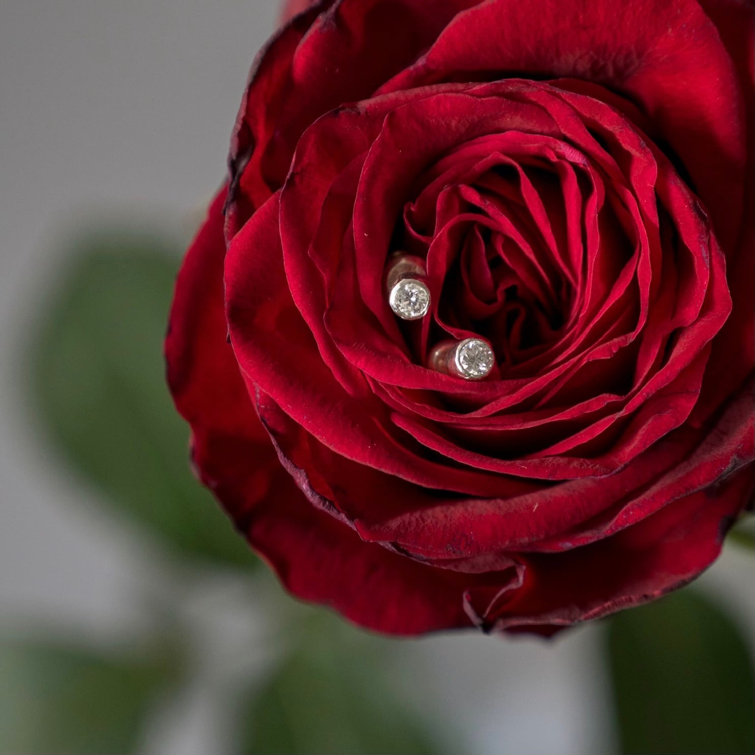 rose pierce
