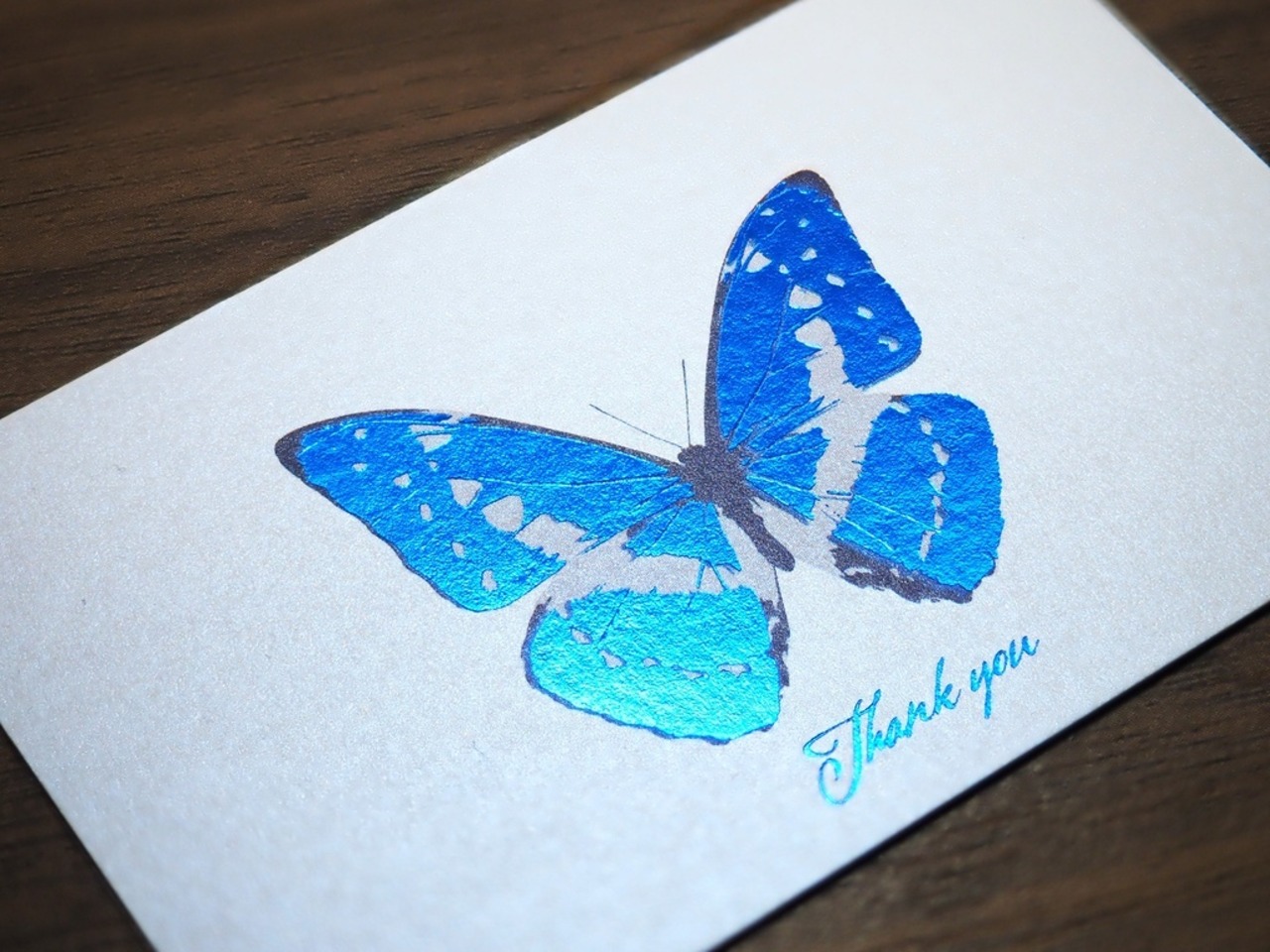 Thank you カード 5枚入り(キプリスモルフォ)