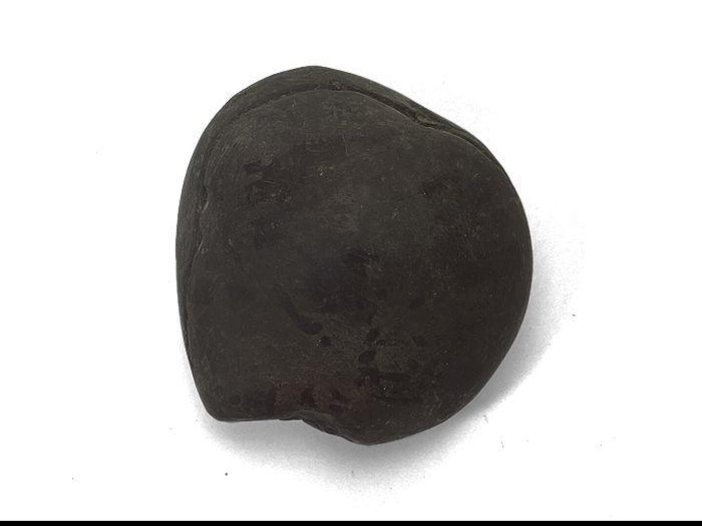 【超希少な太古の石】レアストーン★シャリグラムの原石☆一点物限定☆NO.12 超希少な太古の石】レアストーン☆シャリグラムの原石☆一点物限定☆NO