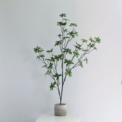 ドウダンツツジ フェイクグリーン H85cm 大型 観葉植物 人工観葉植物 コンクリートポット インテリアグリーン