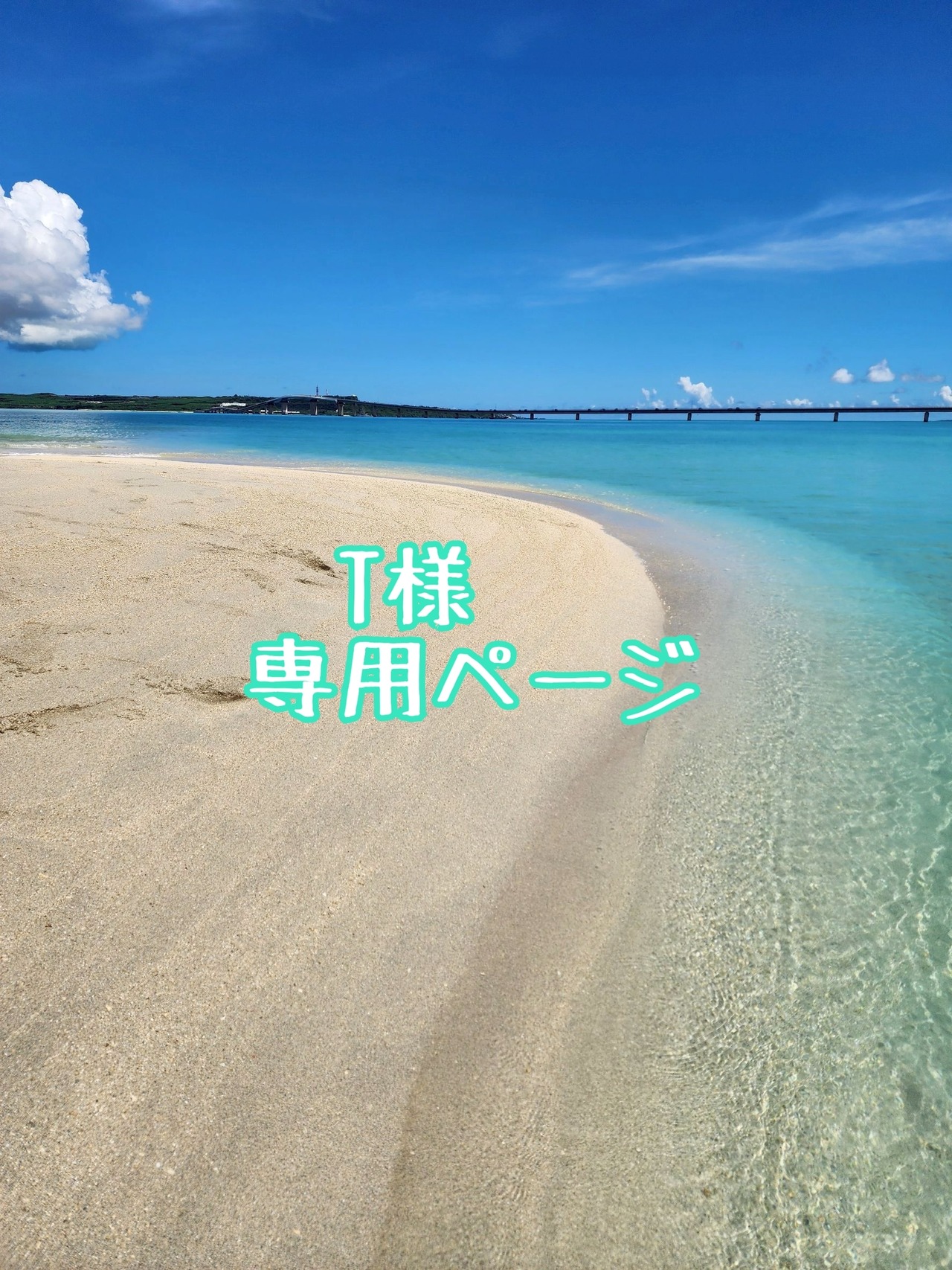 T様専用ページ