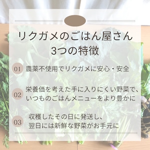 ＜不定期便・3/20（金・祝）収穫・発送＞【小さいサイズ】季節のお野菜セット