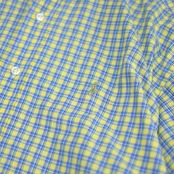 POLO RALPH LAUREN blake check button down shirt