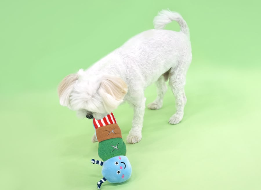 larva snack toy / ペット 犬 おもちゃ カシャカシャ 音が鳴る 知育玩具 ノーズワーク おやつ隠し 可愛い わんちゃん おもちゃ ストレス解消 toy15