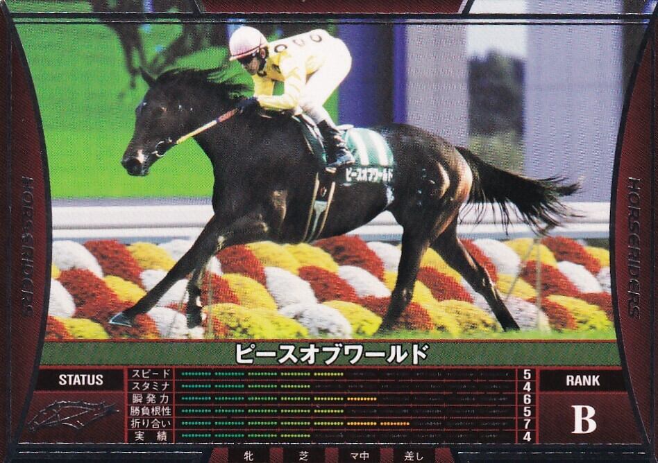 カンパニー「ホースライダーズ Ver.1.0」HB07B186 | PAY ID