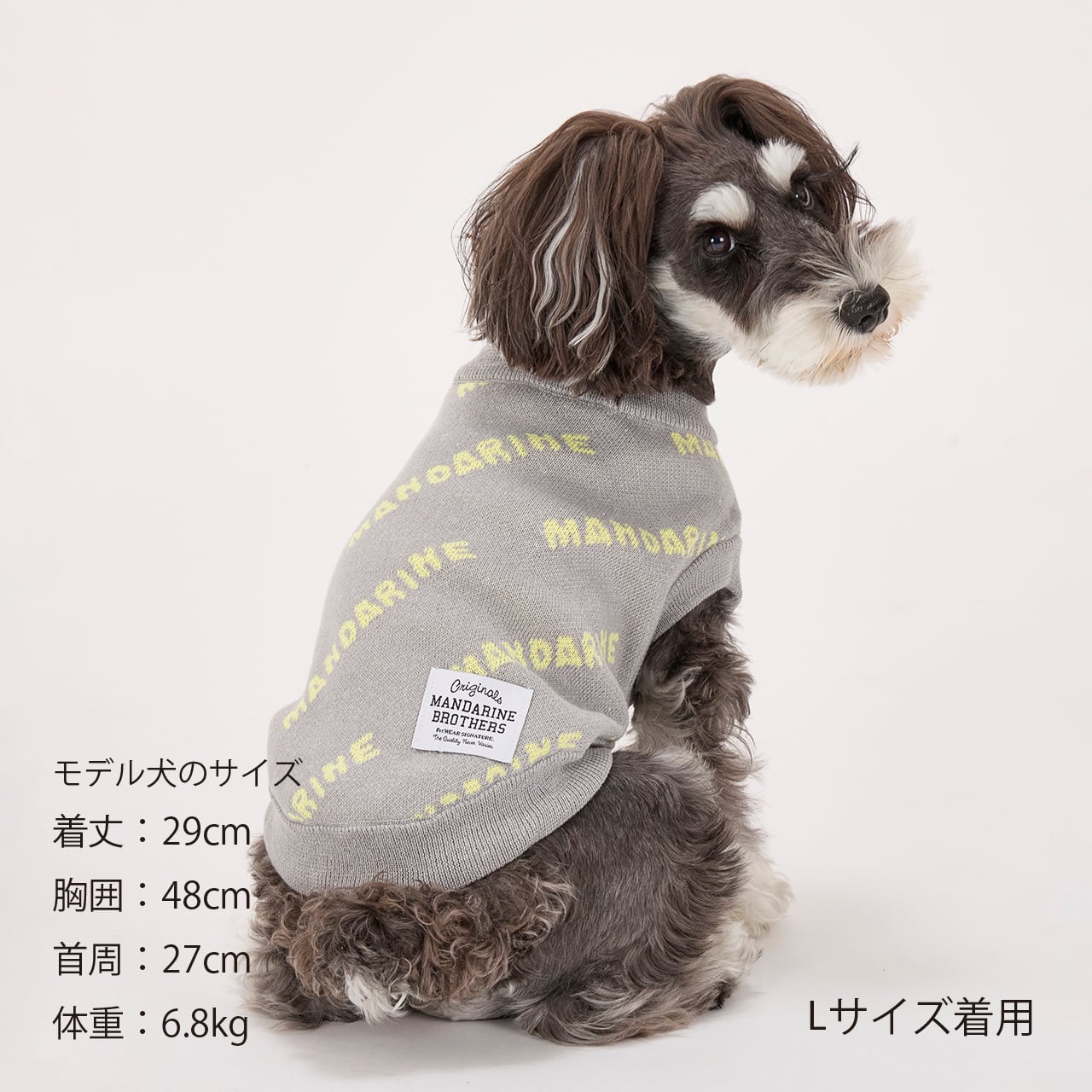 MNDRN LOGO KNIT（M.MD.L）マンダリンロゴニット | MANDARINE