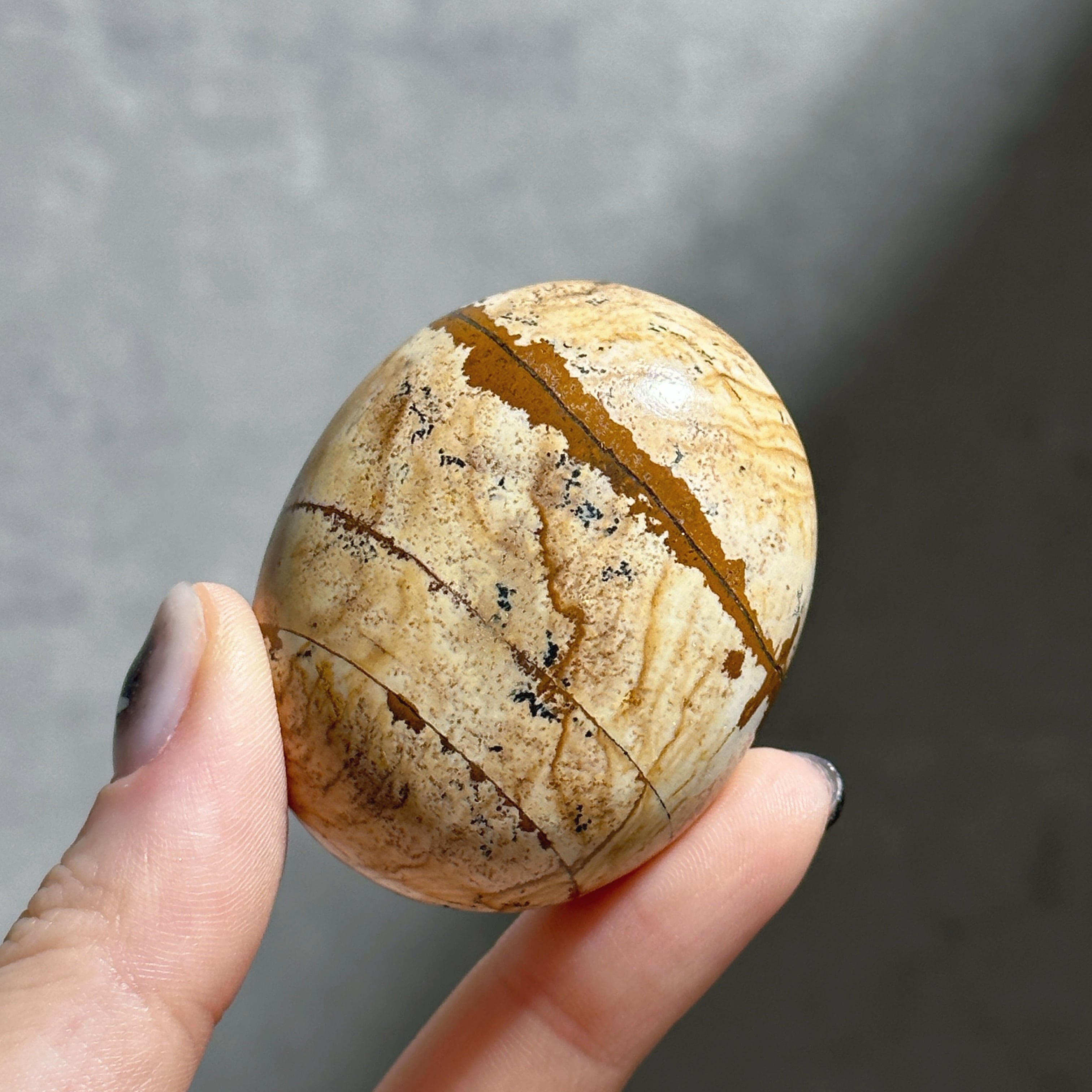 ピクチャージャスパー パームストーン01◇ Picture Jasper ◇ 天然石・鉱物・パワーストーン