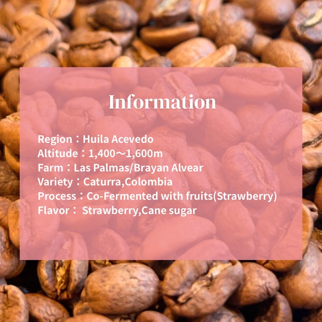 【コロンビア】Juicy Peach｜Light roast