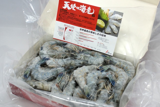 有頭えび ≪天使の海老≫（養殖）２L（40gサイズが約25尾）