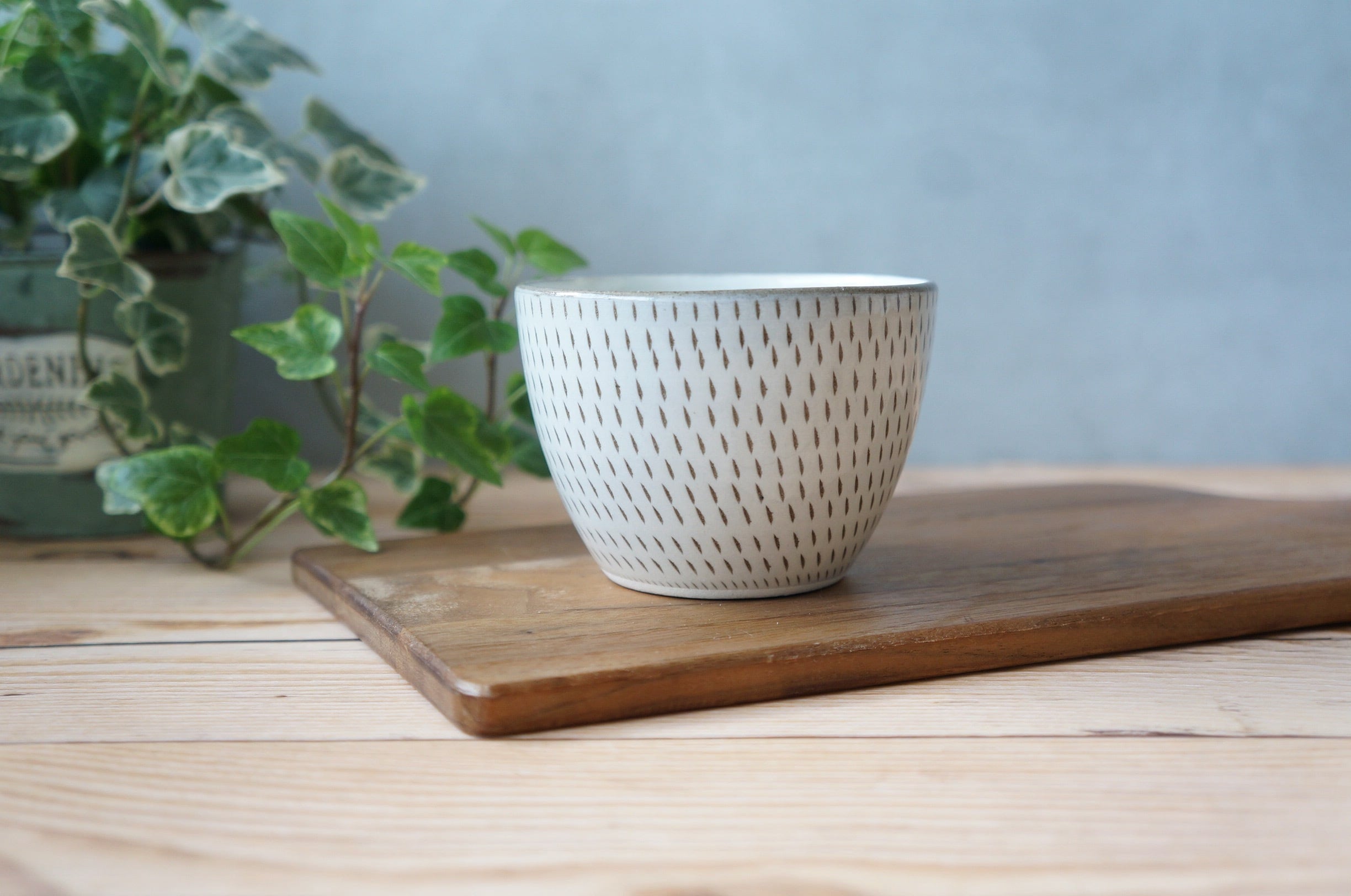 小石原焼 泉種吉窯 大壺 【公式通販】