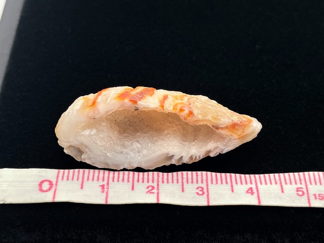 オープンジオード