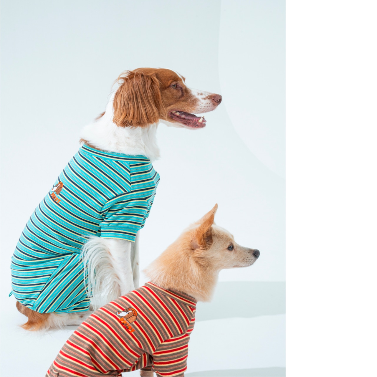 【puppygallery公式】 Homeground all-in-one M-XL