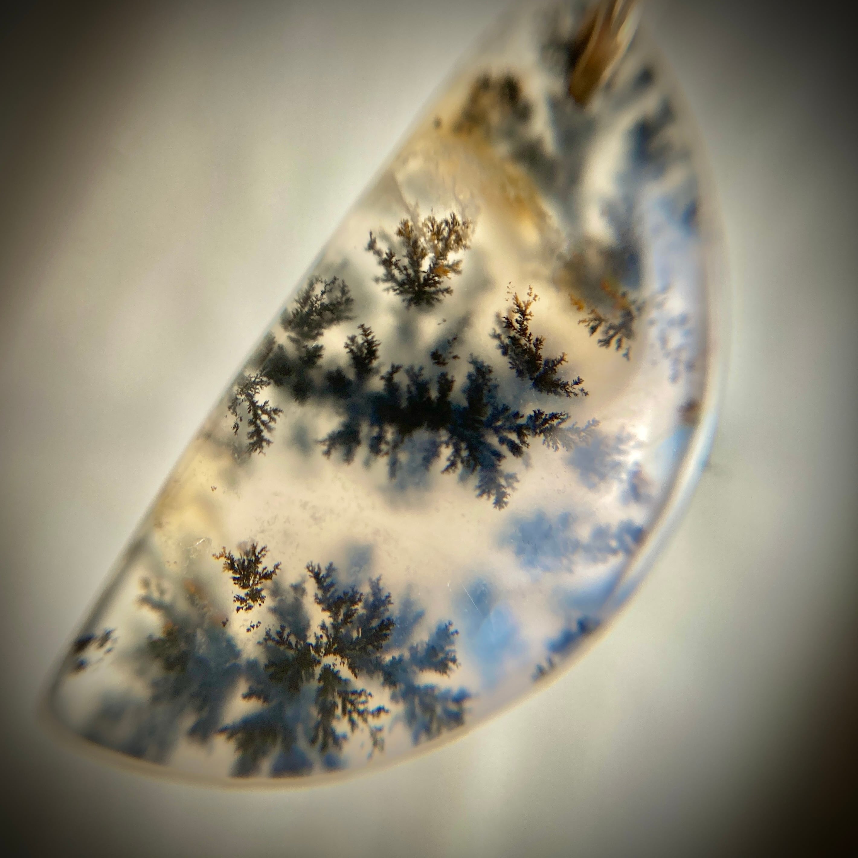 The moonlit forest 月明かりの森 K14gfレザーチョーカー 37､5cm